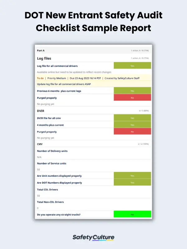 DOT New Entrant Safety Audit Checklist Sample Report