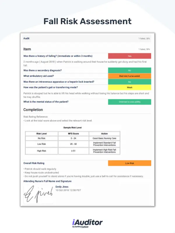 fall risk assessment example