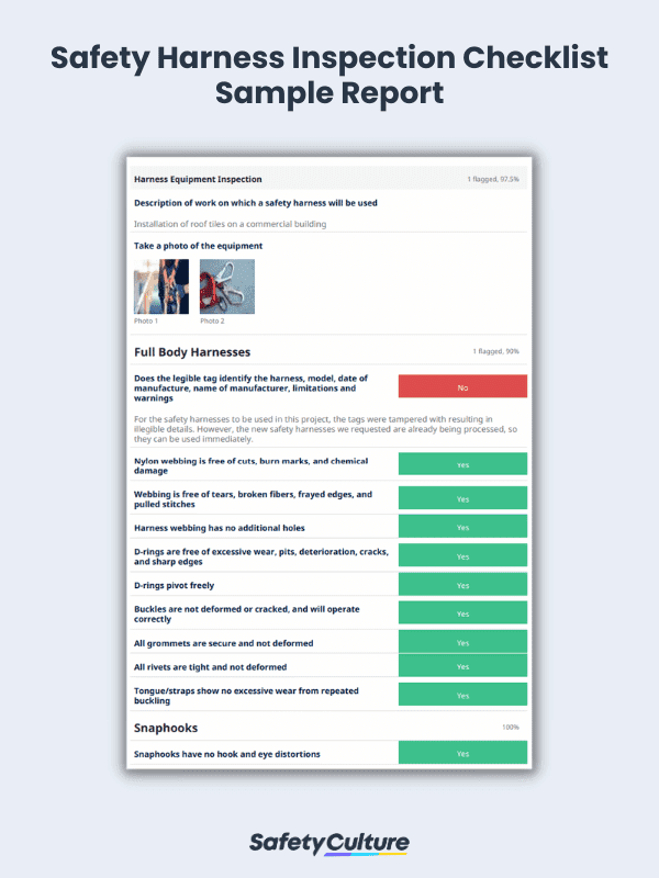 Safety Harness Inspection Checklist Sample Report