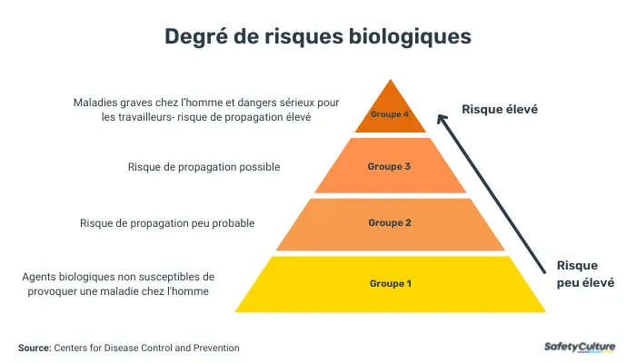 exemples de risques biologiques - niveaux de sécurité en matière de risques biologiques