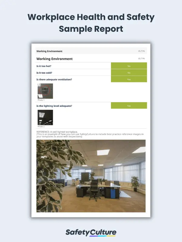 Health and Safety Checklist Sample Report