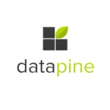 Datapine